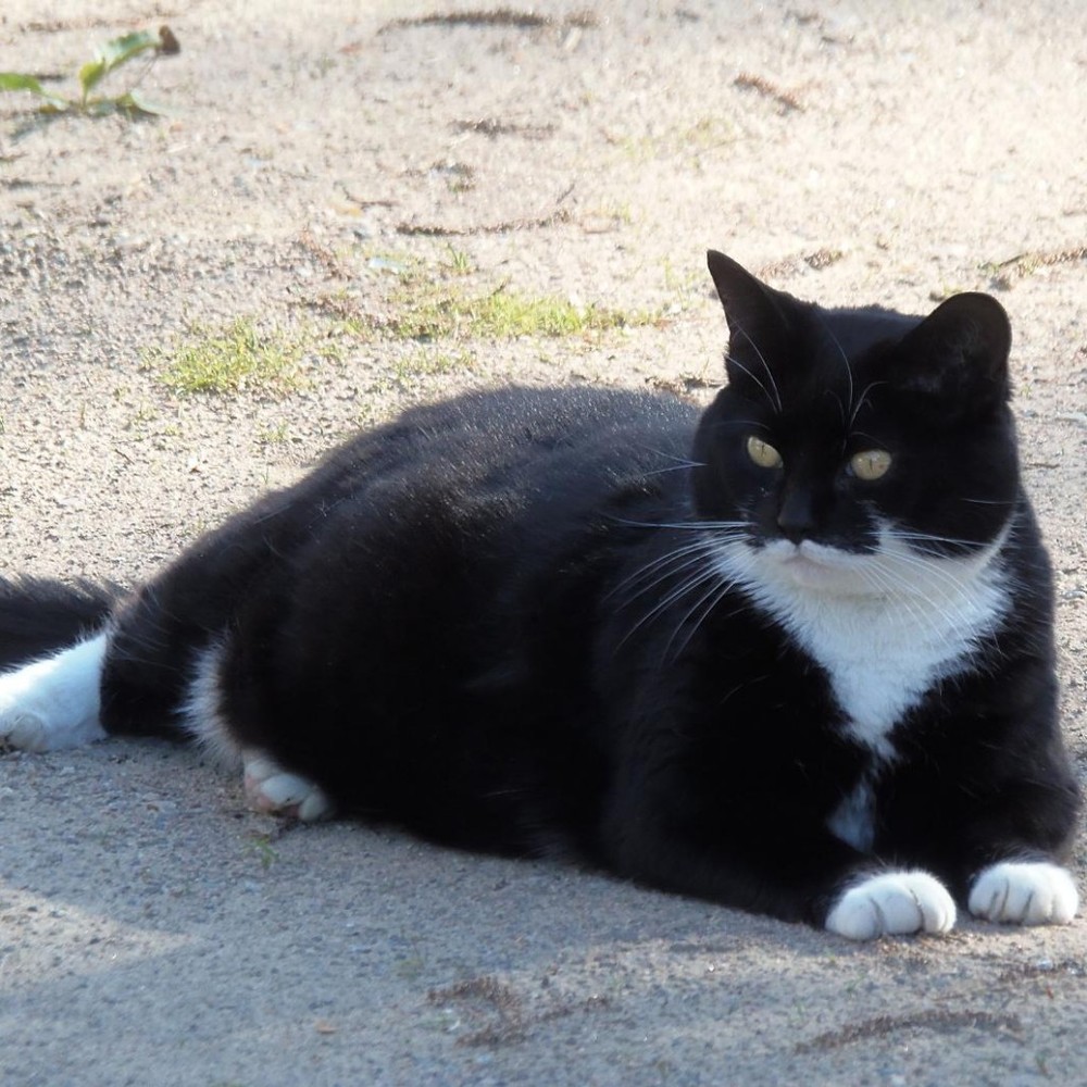 Meet your Posher, Tim